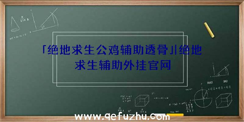 「绝地求生公鸡辅助透骨」|绝地求生辅助外挂官网